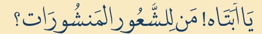 Arabic text quoted in the booklet