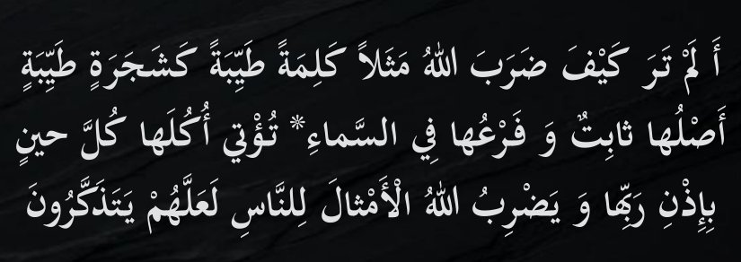 Arabic text quoted in the booklet